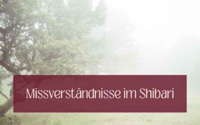 7+ Missverständnisse im Shibari