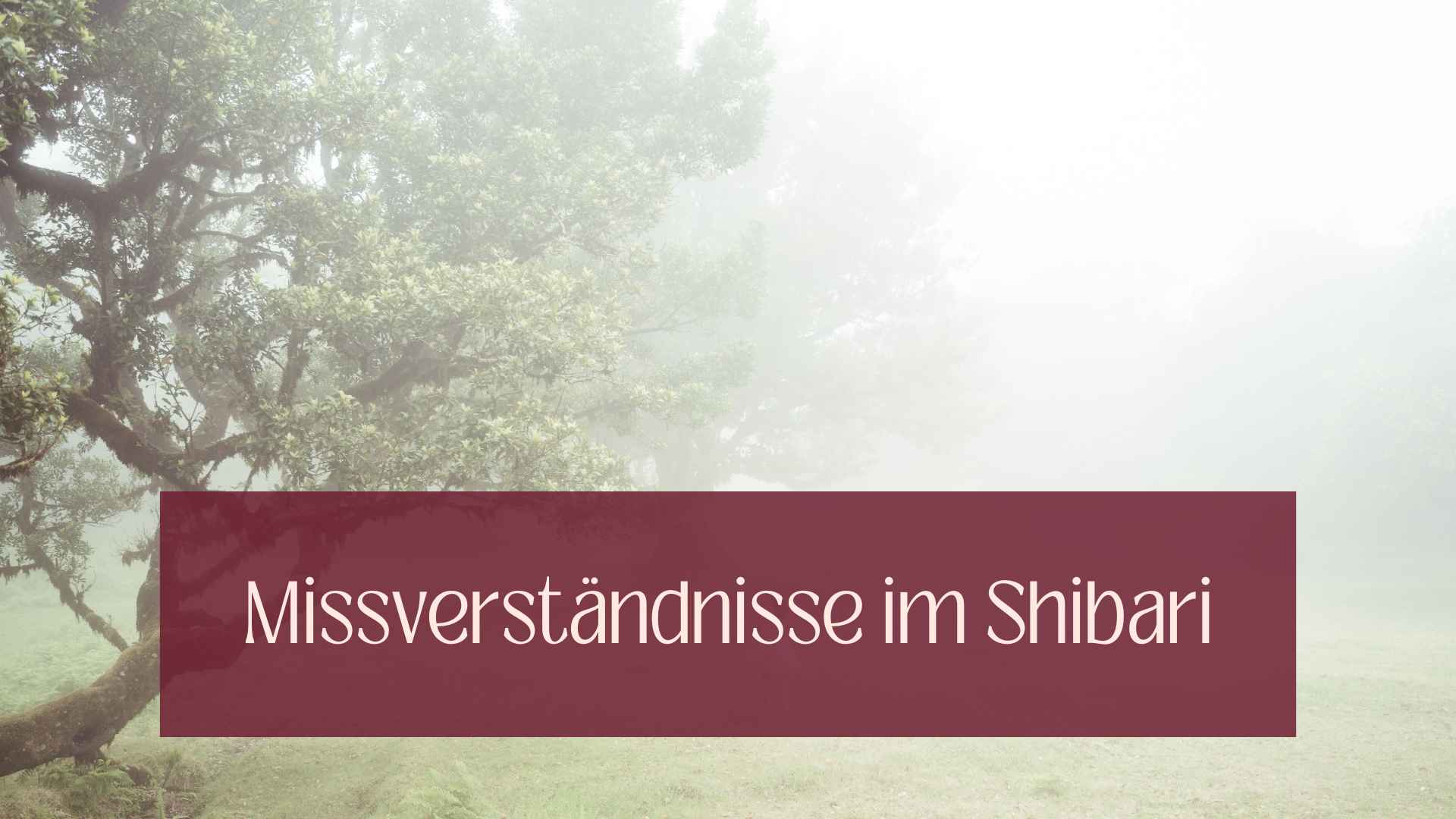 Missverständnisse Shibari