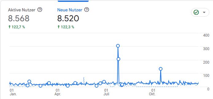 Google Analytics Julia Seifried